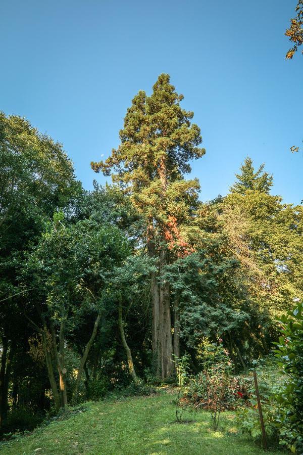Le Clos D'Abrigeon Aubenas Bagian luar foto